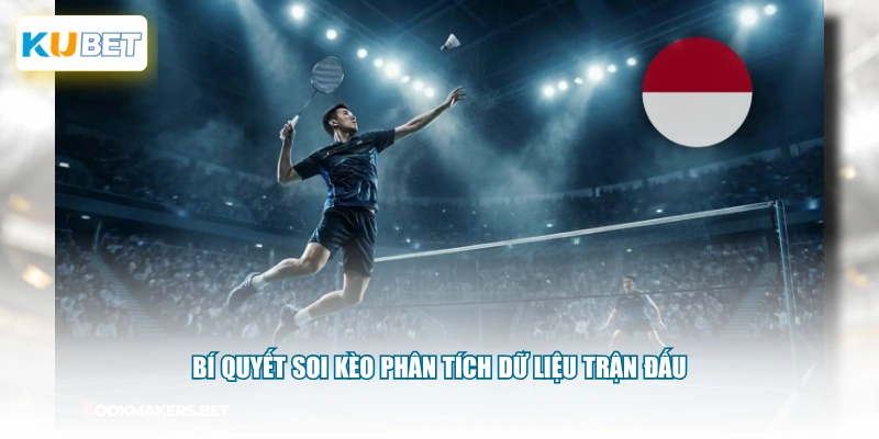Bí quyết soi kèo phân tích dữ liệu trận đấu