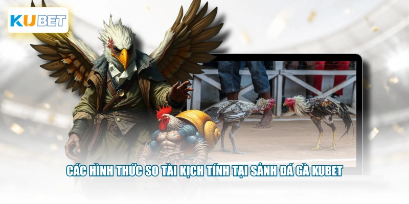 Các hình thức so tài kịch tính tại sảnh đá gà KUBET