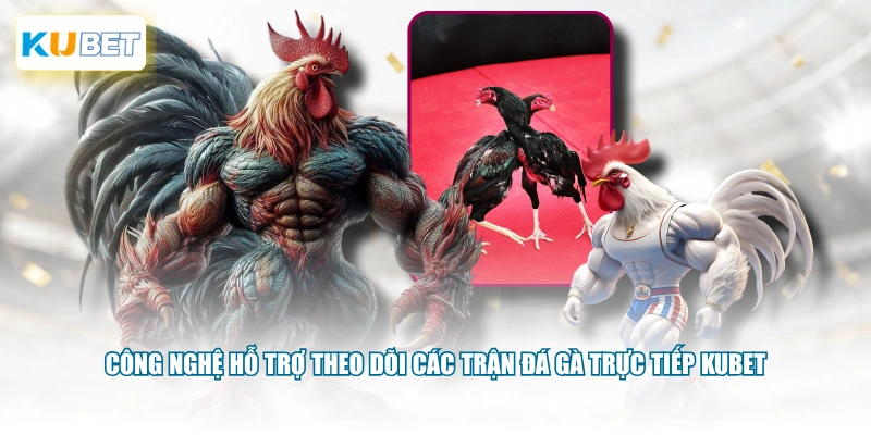 Công nghệ hỗ trợ theo dõi các trận đá gà trực tiếp KUBET