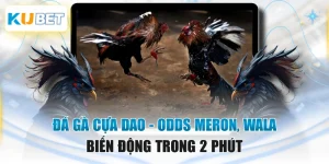 Đá Gà Cựa Dao - Odds Meron, Wala Biến Động Trong 2 Phút