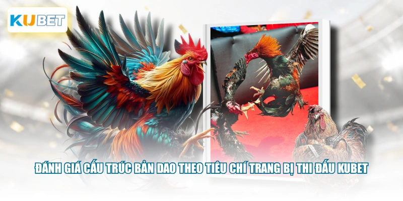 Đánh giá cấu trúc bản dao theo tiêu chí trang bị thi đấu KUBET