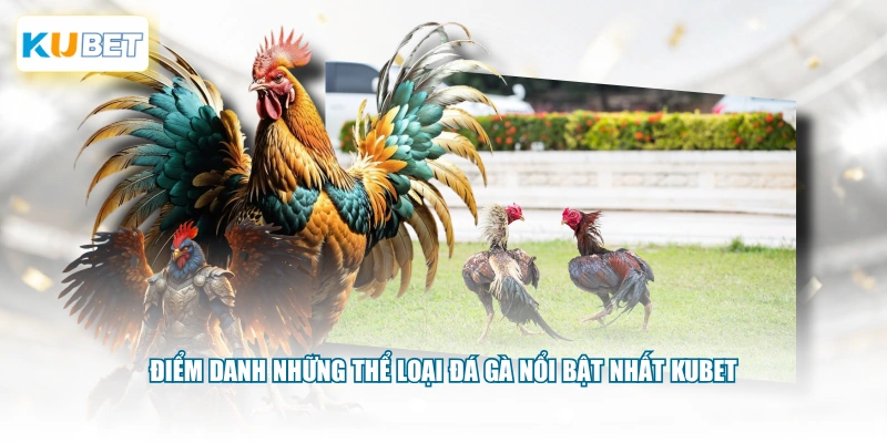 Điểm danh những thể loại đá gà nổi bật nhất KUBET