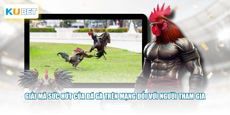 Giải mã sức hút của đá gà trên mạng đối với người tham gia
