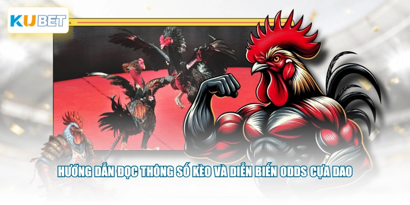 Hướng dẫn đọc thông số kèo và diễn biến odds cựa dao