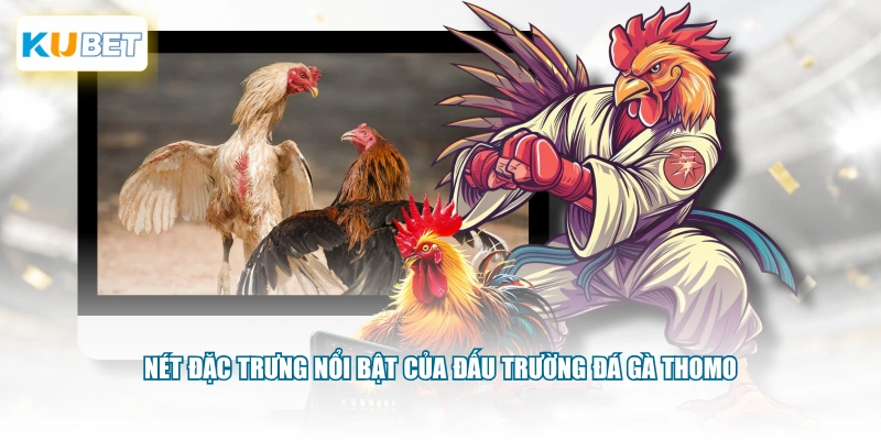 Nét đặc trưng nổi bật của đấu trường đá gà Thomo