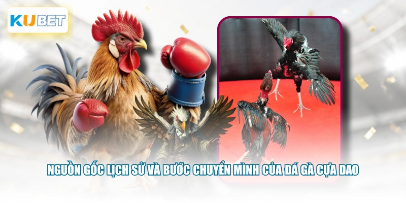 Nguồn gốc lịch sử và bước chuyển mình của đá gà cựa dao