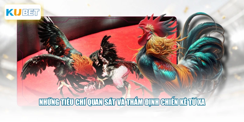 Những tiêu chí quan sát và thẩm định chiến kê từ xa