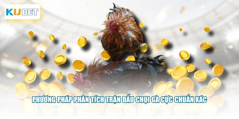 Phương pháp phân tích trận đấu chọi gà cực chuẩn xác