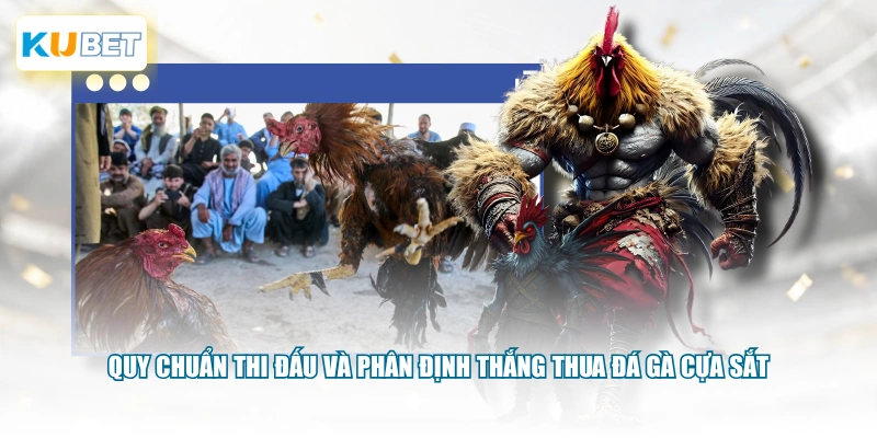 Quy chuẩn thi đấu và phân định thắng thua đá gà cựa sắt