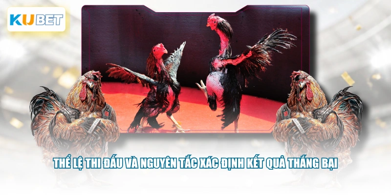 Thể lệ thi đấu và nguyên tắc xác định kết quả thắng bại